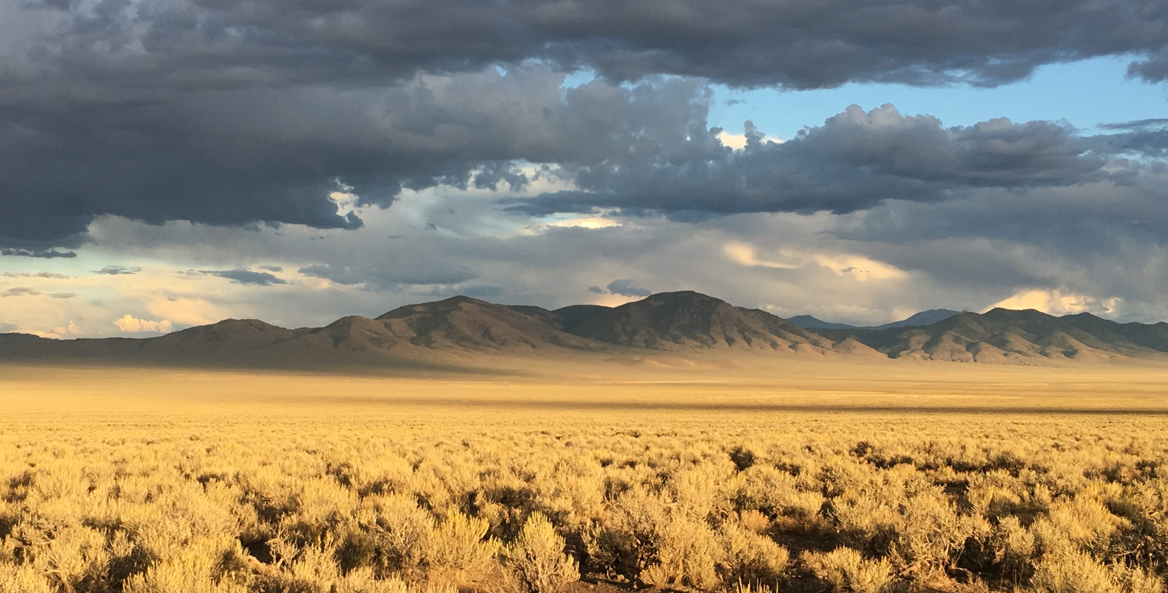 Smith Creek Valley, Nevada. Photo credit: Tamzen Stringham